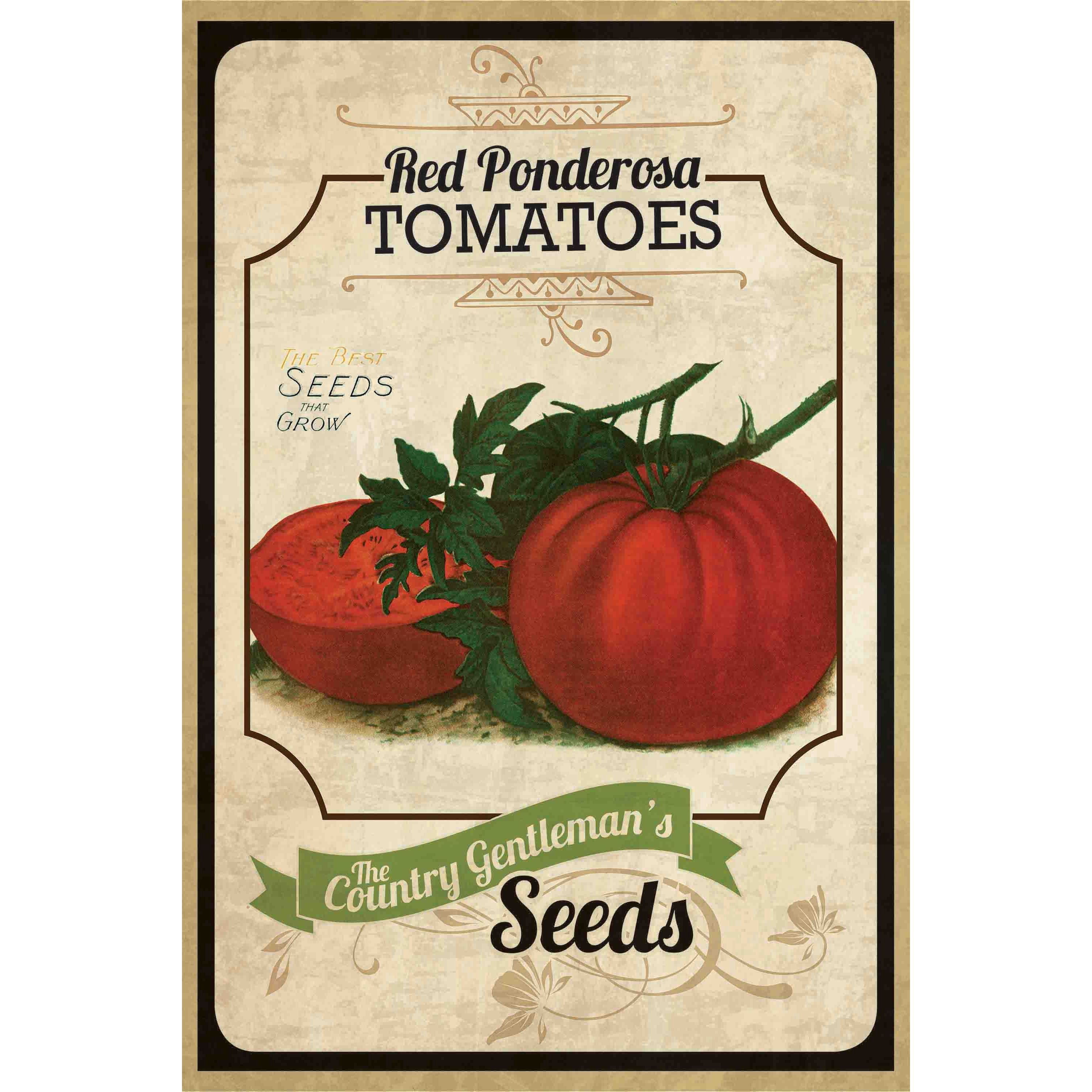 Marmont Hill "Seed Packet Tomato" Painting Print on Canvas
