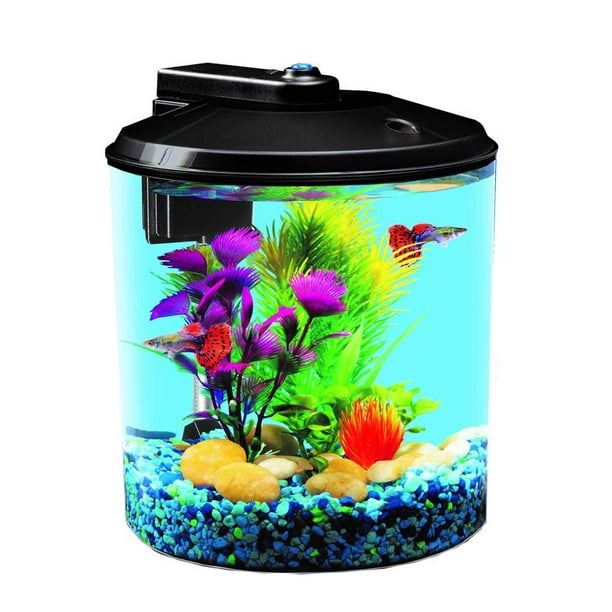 Aquaculture 1 Gallon Scallop Top Betta Bowl - Walmart.com - Walmart.com