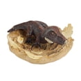 thumbnail image 1 of Attractive Simulation hatches Dinosaur Cub Educational Model Doll Children Gift., 1 of 9