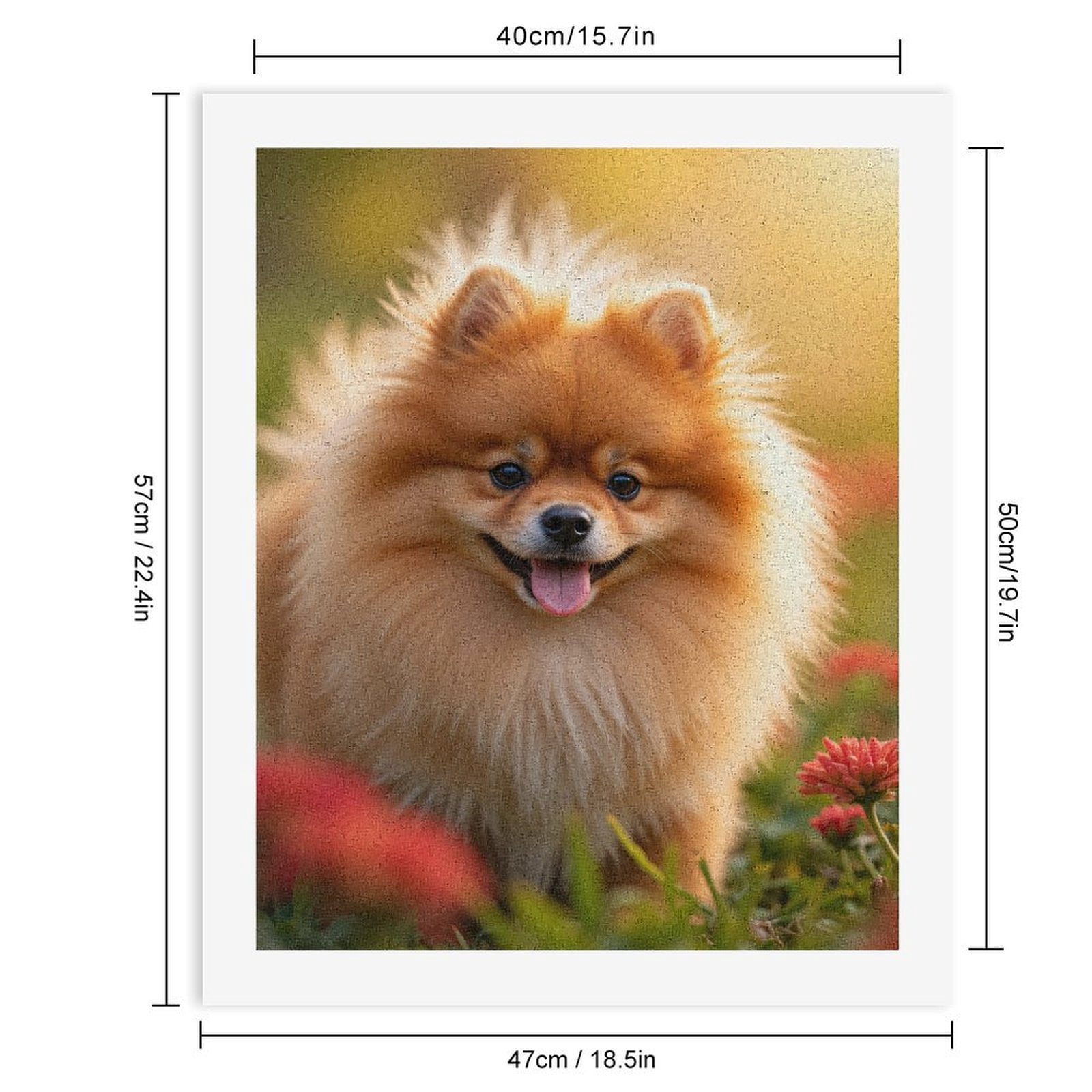 Paint by Numbers Kit for Adults, Pomeranian Flower Field Sunshine Paint by Numbers, Easy Paint by Numbers Kit for Adults Beginner, DIY Adult Paint by Number Kits on Canvas, Home Decor