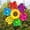 #2, variant on Sunflower Lawn Pinwheels Wind Spinners 14 Inch Colorful Flower Garden Party Pinwheel Wind Spinner Large Garden Windmill Pinwheels for Outdoor Balcony Patio Garden Yard Decoration