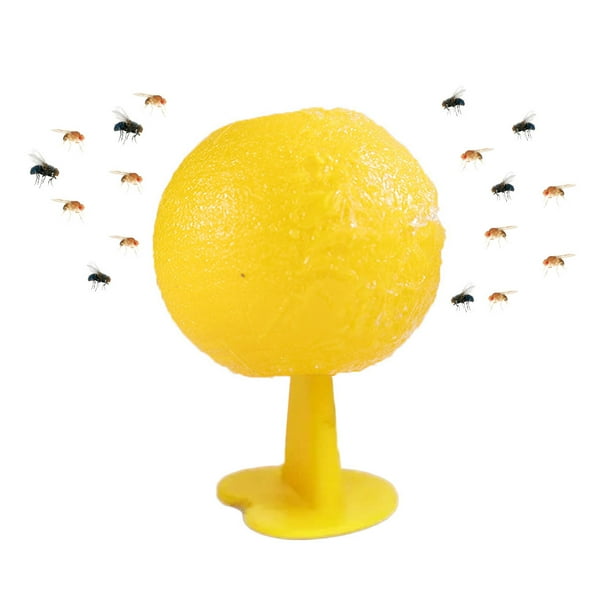 Trampa para Moscas Mosca La Mosquitos Asesino Sólido Granja Casera