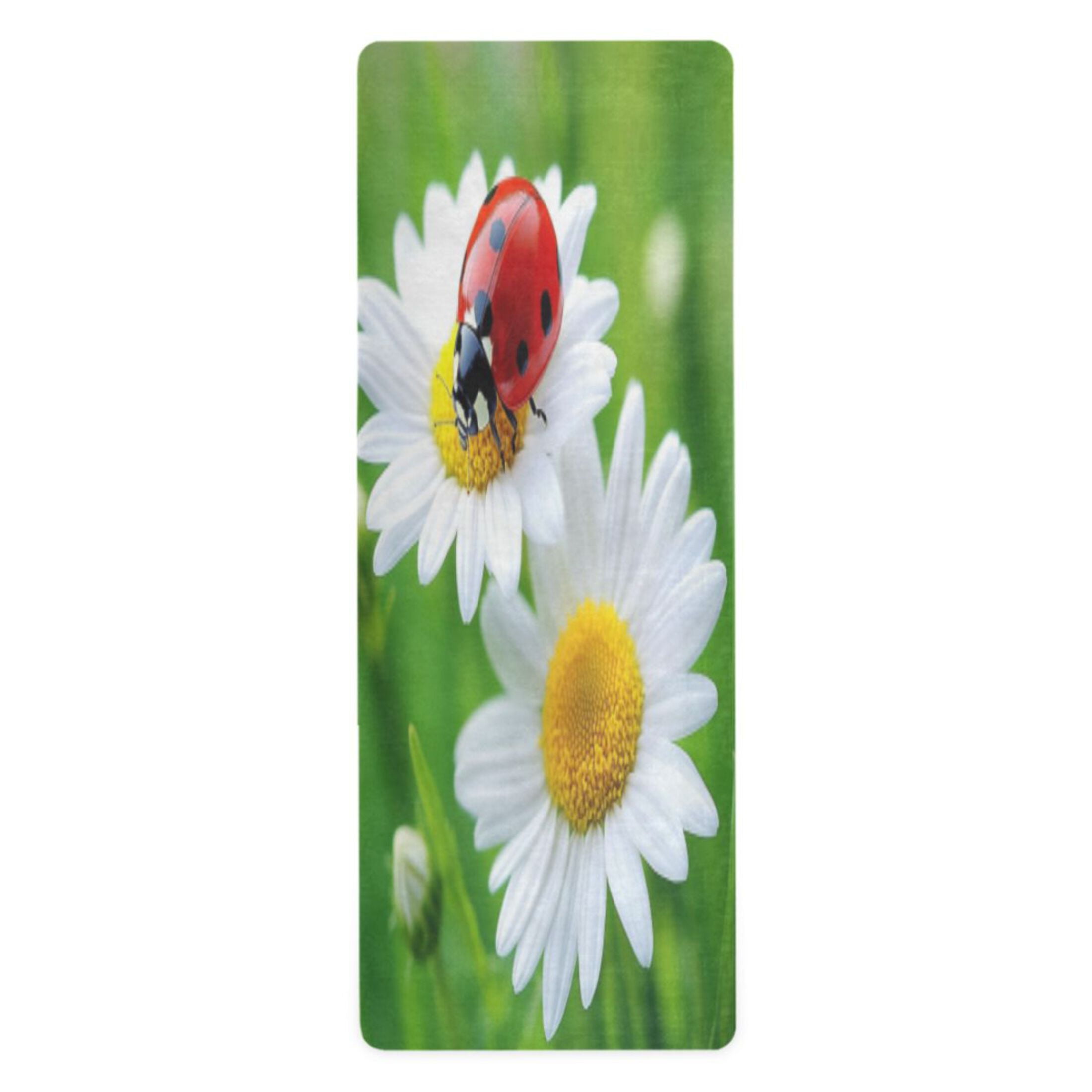 BZSMCE Yoga Mat Women Fitness Mat Ladybug's Delight Pattern