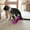 Multicolor E, variant on Latrodar Cats Toys Catnip Crinkle Sound Toys Soft And Robust Interactive Cats Toys For Indoor Exercise For All Breeds up to 50% Off