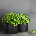 thumbnail image 3 of 5pcs Indoor Planting Pouch Vegetable Planting Bag Thickened Nursery Bag, 3 of 8