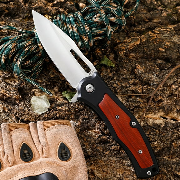 Folding Pocket Knife, Black Handle, Pocket Clip