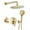 Brushed Gold, variant on Rainlex 10 in. Shower Head Single-Handle 3-Spray Round High Round High Pressure Shower Faucet in Matte Black