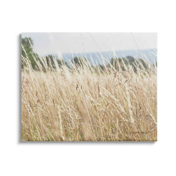 Stupell Industries Rural Wheat Field Spring Breeze Photograph Gallery Wrapped Canvas Print Wall Art, Design by Elizabeth Urquhart