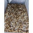 thumbnail image 2 of GSDWIUEW Mushrooms Porcini Spores Spawn Mycelium Heirloom for Planting, 2 of 8