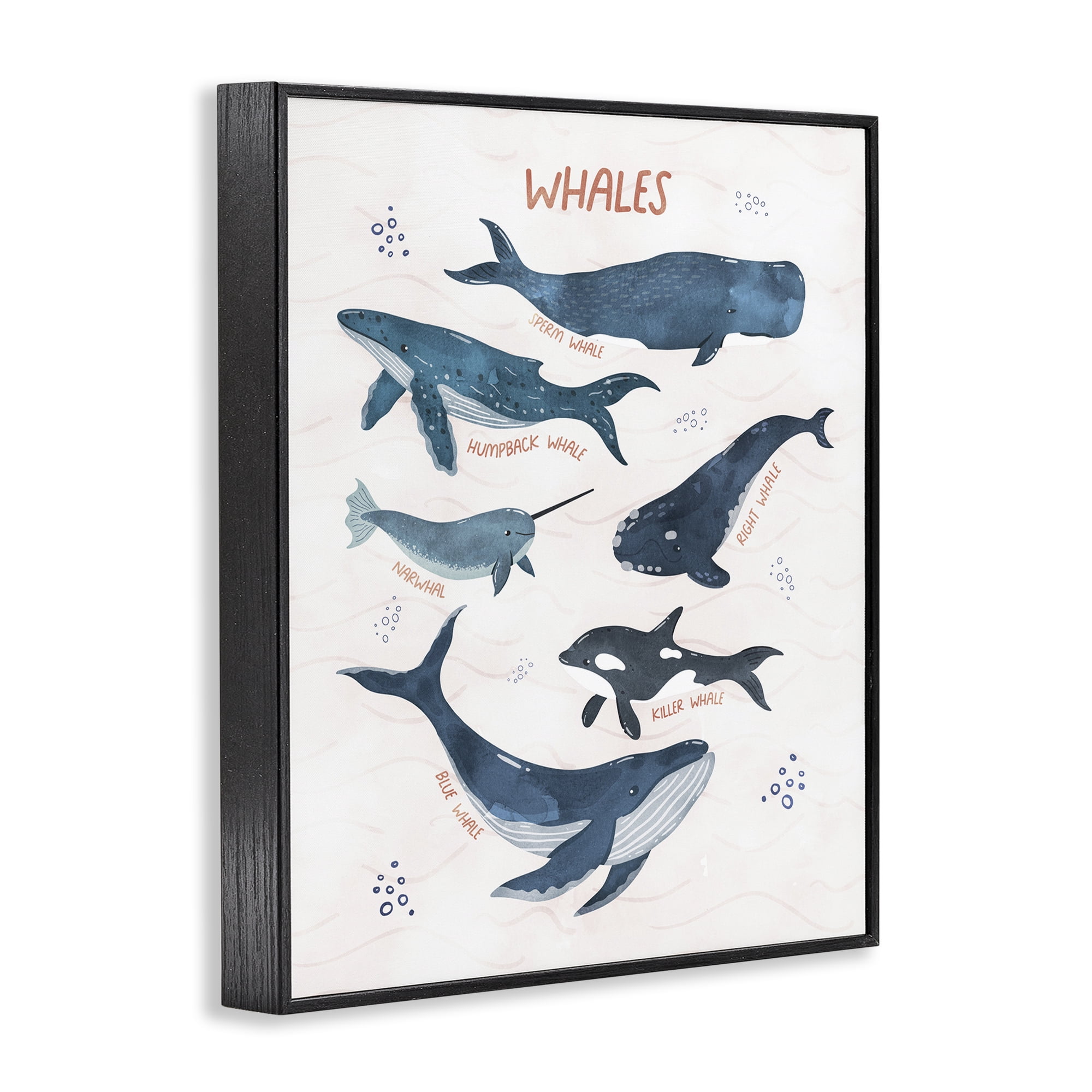 Stupell Industries Whales of the World Animals & Insects Painting Black Framed Art Print Wall Art, 16 x 20