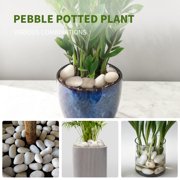 White River Rocks 40lbs - 1-2 Inch Natural Polished Pebbles for Landscaping, Indoor Plants, Aquariums & Vase Filler - Moisture-Retaining Decorative Stones