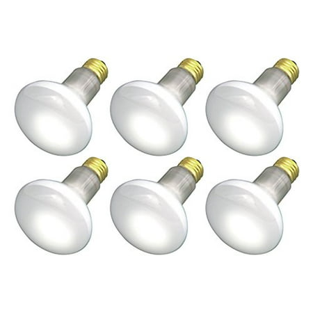 45w Flood - (6 Pack) 45R20/FL 120V - 45 Watt R20 Flood - E26 Base 45W - Light Bulbs