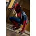 thumbnail image 4 of The Amazing Spider-Man (DVD), 4 of 8