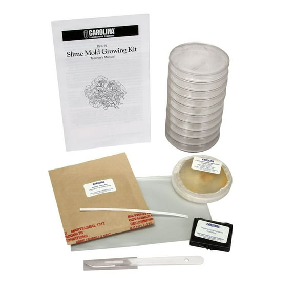 Slime Mold Growing Kit, Includes Instructions And Materials For Starting 5 Cultures