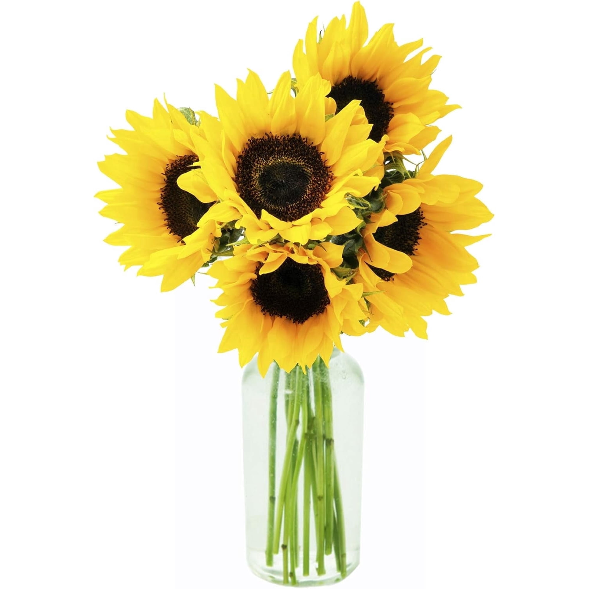KaBloom : Bouquet of Fresh 5 Yellow Sunflowers in a Glass Vase, Next-Day Delivery