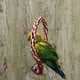 thumbnail image 4 of Bird Rope Swing Toy Colorful Cotton Perch for Parrots Budgie Parakeet Cockatiel Conure Finch Lovebird, 4 of 5