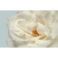thumbnail image 2 of Greenwood, Julie 14x10 White Modern Wood Framed Museum Art Print Titled - Now Calm, 2 of 4