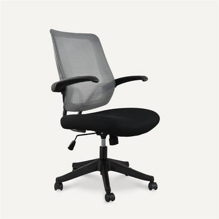 Flexispot OC3D Essential Office Chair, Black