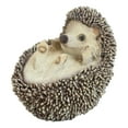 thumbnail image 4 of Lifelike Realistic Spinal Mammal Baby Hedgehog Lying On Back Decorative Figurine, 4 of 6