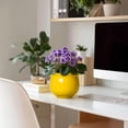 thumbnail image 7 of Ordivic 6 inch Yellow Self Watering Ceramic Plant Pot with Inner Pot,Round African Violet Planter for Mini Orchid, Spider Plant,Kitchen Windowsill,Office Decor, 7 of 7