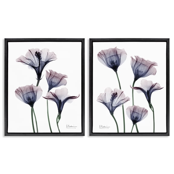 Stupell Industries Contemporary Bountiful Dusk Lilies Black 2pc Floating Frame Art Set, 17 x 21 each, by Albert Koetsier
