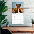 thumbnail image 5 of American Pit Bull Terriers | 2027 12x24" (Hanging) Wall Calendar | Plastic-Free, 5 of 9
