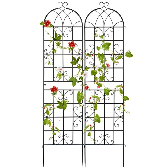 Patiojoy Metal Garden Trellis for Climbing Plants 2 Pack Fence Trellis Panels 87�� Tall Retro Style Cucumber Trellis