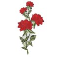 thumbnail image 3 of Grandes Broderies Roses Motifs Dentelle Venise Applique Coudre sur Tissu, 3 of 6