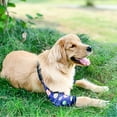 thumbnail image 5 of Harikaji Dog Elbow Protector, Dog Front Leg Recovery Protector for Prevent Licking Wound, Elbow Protectors with Mesh Pad for Medium Large Dogs Universe 2XL, 5 of 5