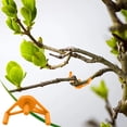 thumbnail image 4 of Adjustable Plant Bending Device - Ideal For Hydroponic Growth, Adjustable Plant Bending Clips for Low-Stress Training – Ideal for Hydroponics and Garden Growth, Set of 20 for Optimal Support, Orange, 4 of 5