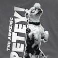 thumbnail image 5 of The Little Rascals Mens Amazing Petey T-Shirt, 5 of 5