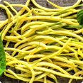 thumbnail image 3 of HIGHGW 100+ Jade & Cherokee Wax Bush Bean Combo (Mixed Seeds) All Heirloom Seeds, 3 of 3