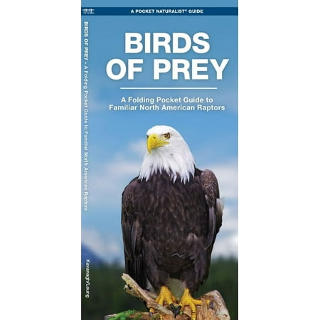 Pocket Naturalist Guides: Birds of Prey: An Introduction to Familiar North American Species (Other)