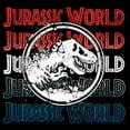 thumbnail image 2 of Boy's Jurassic World Fallen Kingdom 4th of July Logo  Pull Over Hoodie, 2 of 4