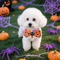 thumbnail image 4 of (2 Pack) Durable Halloween Pet Collar for Dogs and Cats - Chew- Polyester Accessory for Festive Indoor Outdoor Use, 4 of 5