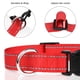 thumbnail image 3 of Collar de perro TagMe de nailon reflectante ajustable para perros medianos, 3 of 7