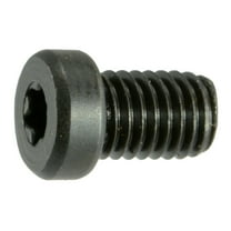 #8-40 x 1/4" Black Oxide T-10 Fillister Head Star Drive Gun Screws (12 pcs.)