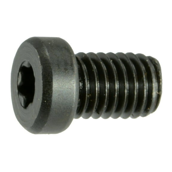 #8-40 x 1/4" Black Oxide T-10 Fillister Head Star Drive Gun Screws (12 pcs.)