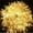a, variant on SUTENGDA String Lights  100 LED  Christmas Tree Decor  Wedding Party Lights  Outdoor Illumination  Festive Twinkle - for Your Happy Home!