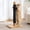 Black, variant on 29" Tall Solid     for Indoor Cats, Extra  Heavy Base,  Sisal Scratcher with  Ball, Furniture Protector for Kittens & Adult Cats, Grey