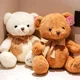 thumbnail image 2 of 20CM Stuffed Bear Doll Two Color Stuffed Toy Best Gift Girl Doll Sleeping Pillow Boy Wedding Birthday Gift, 2 of 4
