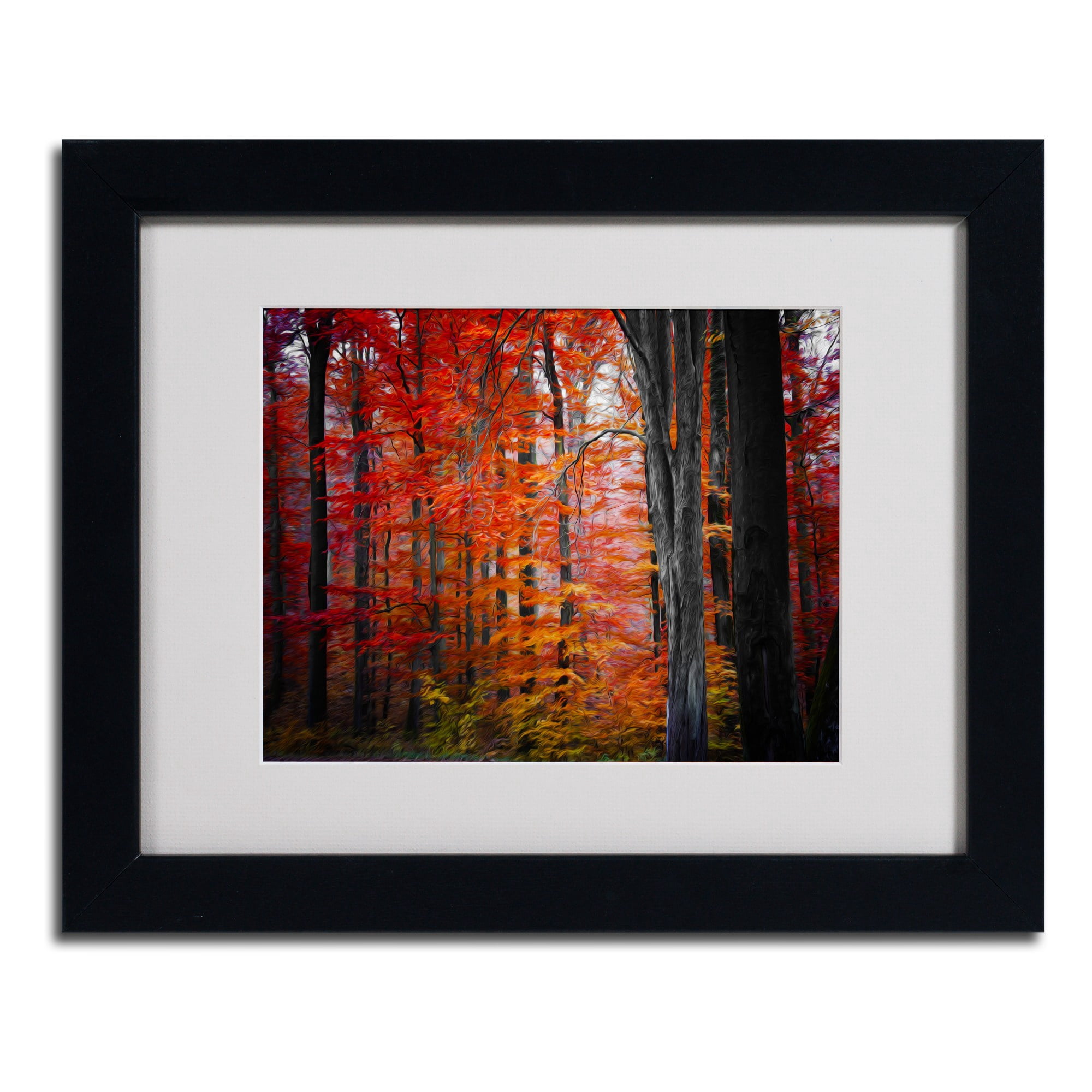 Trademark Fine Art "No Title" Canvas Art by Philippe Sainte-Laudy, Wood Frame