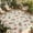 Pink SeaGreen Beige, variant on Country Flower Outdoor Rug for Patio/Deck/Porch, Non-Slip Large Area Rug 6 x 9 Ft, Pink Daisy Floral Retro Plant Leaf Indoor Outdoor Rugs Washable Area Rugs, Reversible Camping Rug Carpet Runner
