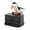 Black and white, variant on Bird Toothpick Dispenser Black and Gold 3 x 3.5 x 3.4 Inch Smart Push for Home