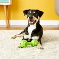 thumbnail image 2 of JW Chompion Durable Dog Chew Toy with Nubbins for Strong Chewers, 2 of 7