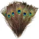 thumbnail image 5 of Plumas naturales de pavo real con ojo de gema, paquete de 50 piezas para decoración y manualidades, 5 of 6