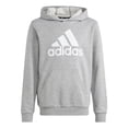 thumbnail image 1 of Sudadera adidas Niños Essentials Logo Gris Casual gris S, 1 of 8