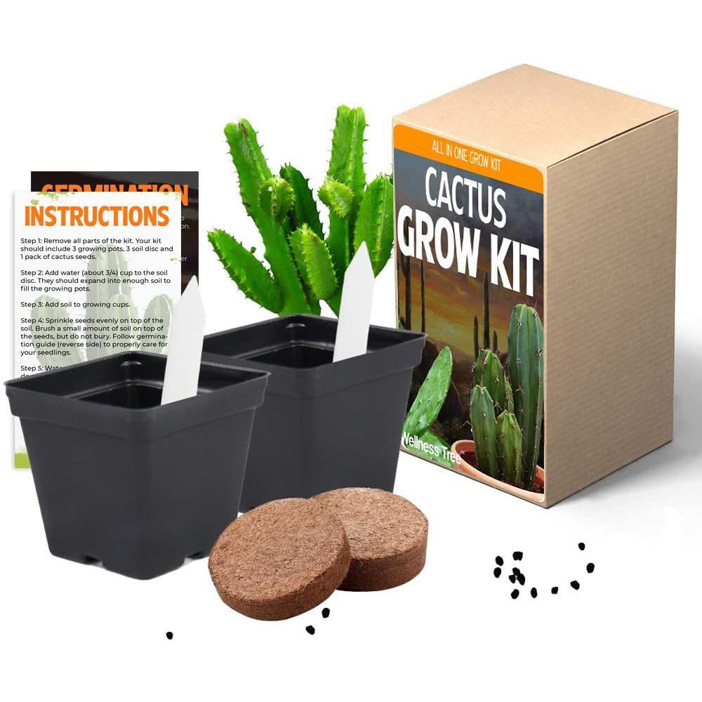 Rainbow Cottage Kids Garden Kit Peat Pellets Activity Guide Includes Flower and Vegetable Seeds and More Rainbow Cottage Model Kit and Plant Growing Kit for Kids with Indoor Garden 