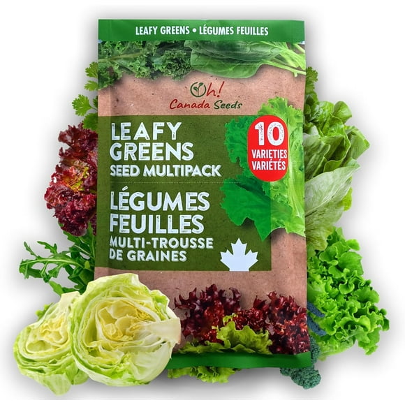 SHIQI-Leafy Greens Variety Pack \u2013 Hydroponic/Indoor/Outdoor. Heirloom Lettuce Seeds, Spinach Seeds, Arugula Seeds, Kale Seeds and More | | Seeds for Planting