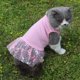 thumbnail image 4 of Chaleco de gasa con flores para perros y gatos, vestidos de princesa, para verano, 4 of 5
